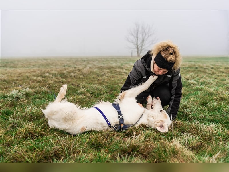Erna wartet in Tierpension Tannenhof 54597 Wallersheim