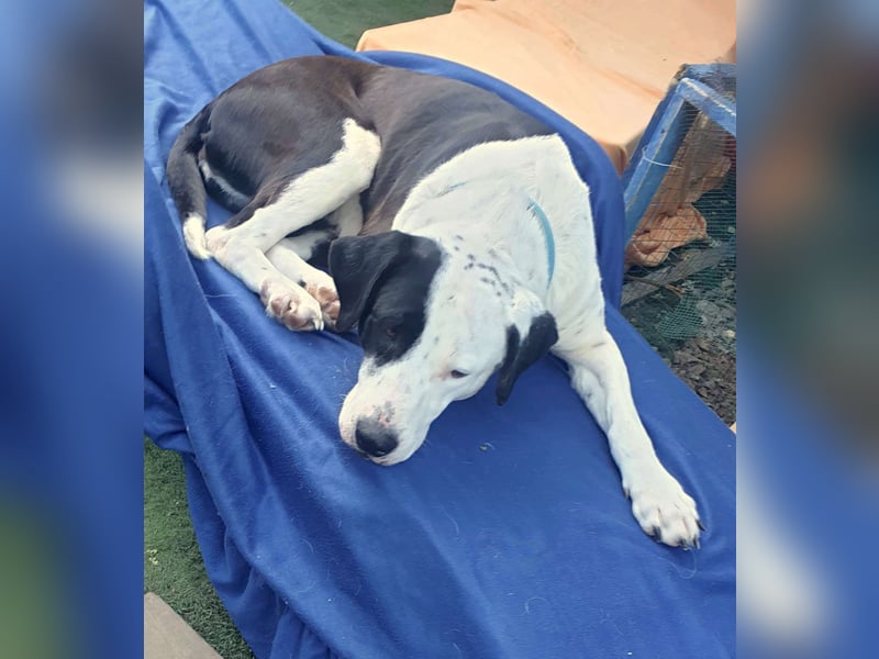 FELICITAS – Vom Schatten ins Glück