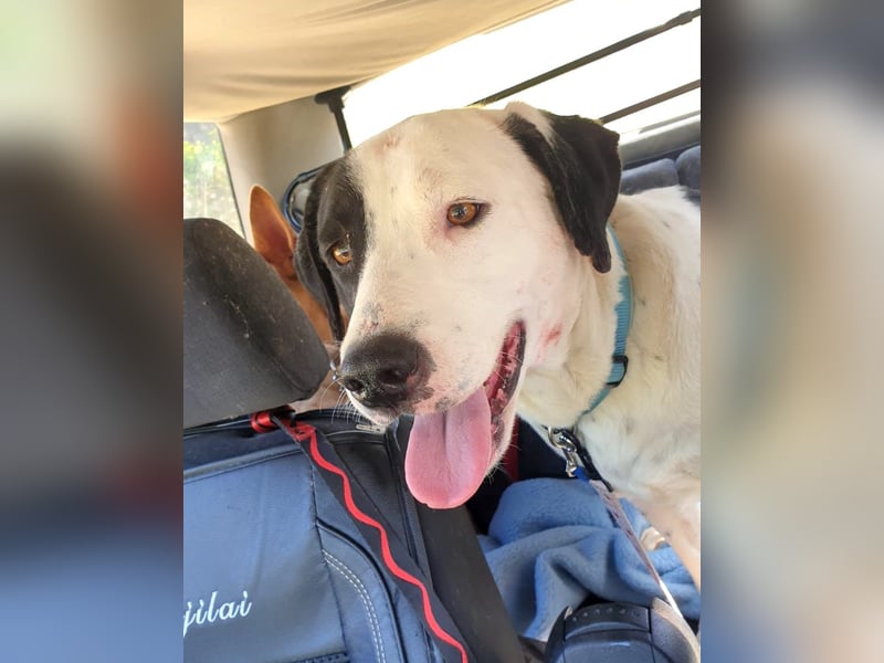 FELICITAS – Vom Schatten ins Glück