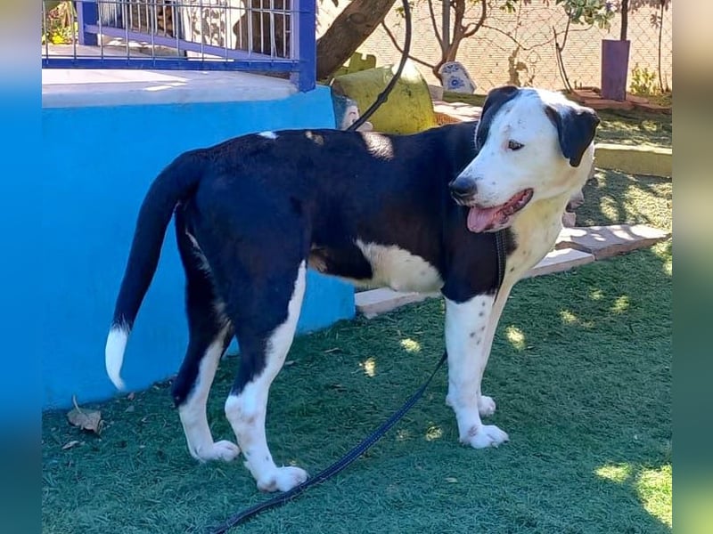 FELICITAS – Vom Schatten ins Glück