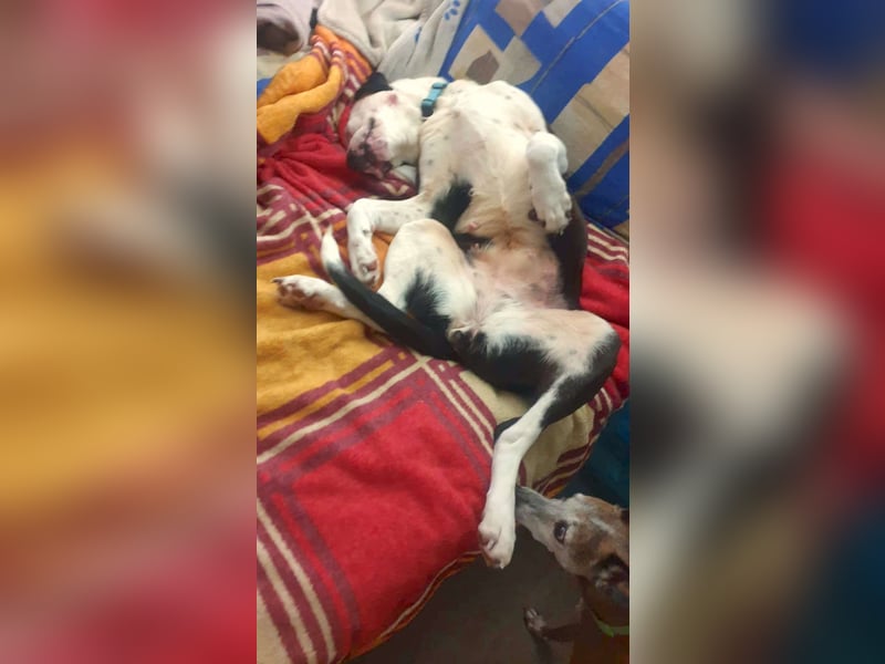 FELICITAS – Vom Schatten ins Glück