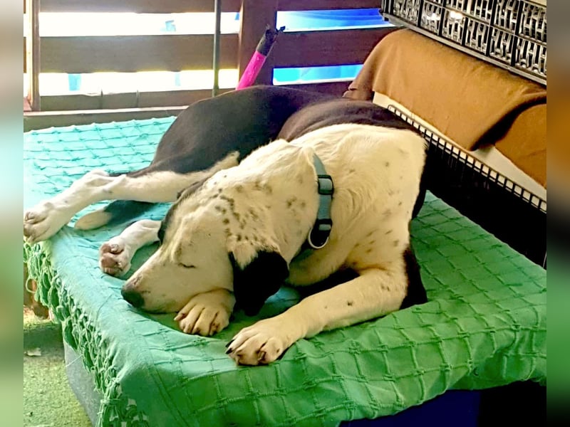 FELICITAS – Vom Schatten ins Glück