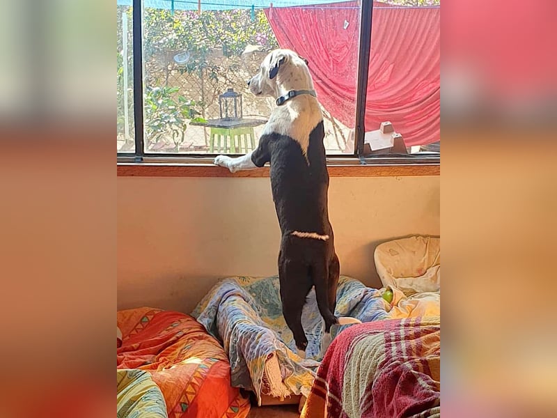 FELICITAS – Vom Schatten ins Glück