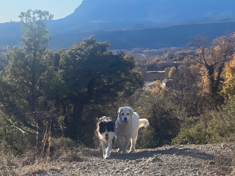 Mein Herz sucht das Beste für Zuki