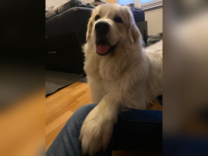 Mein Herz sucht das Beste für Zuki