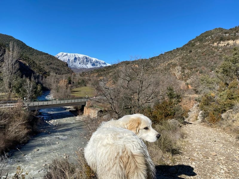 Mein Herz sucht das Beste für Zuki