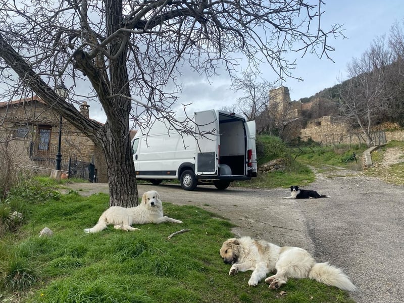 Mein Herz sucht das Beste für Zuki