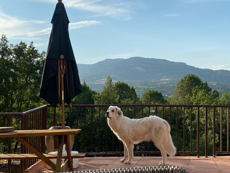 Mein Herz sucht das Beste für Zuki