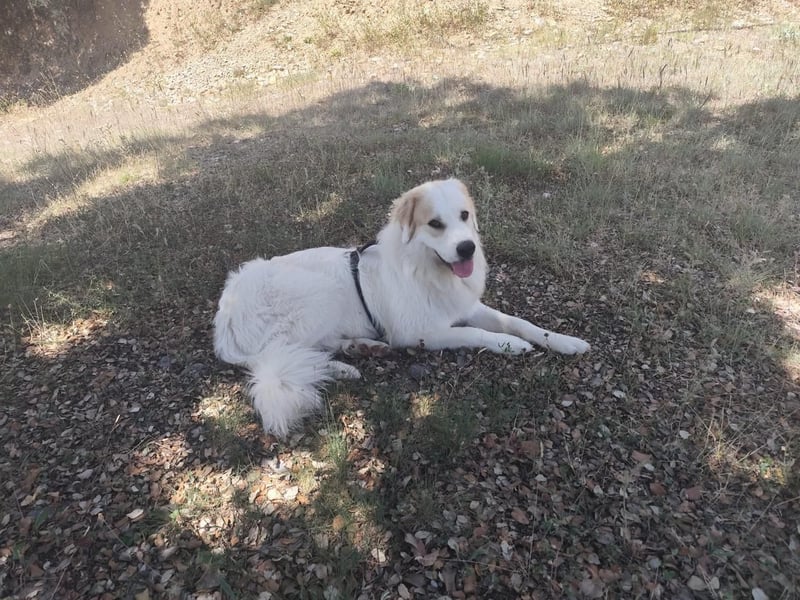 Mein Herz sucht das Beste für Zuki