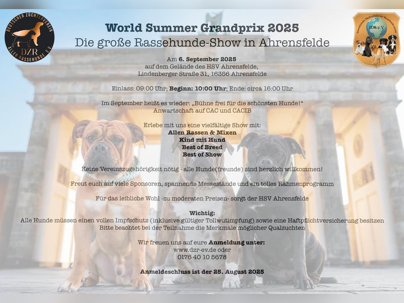 Rassehunde Ausstellung
