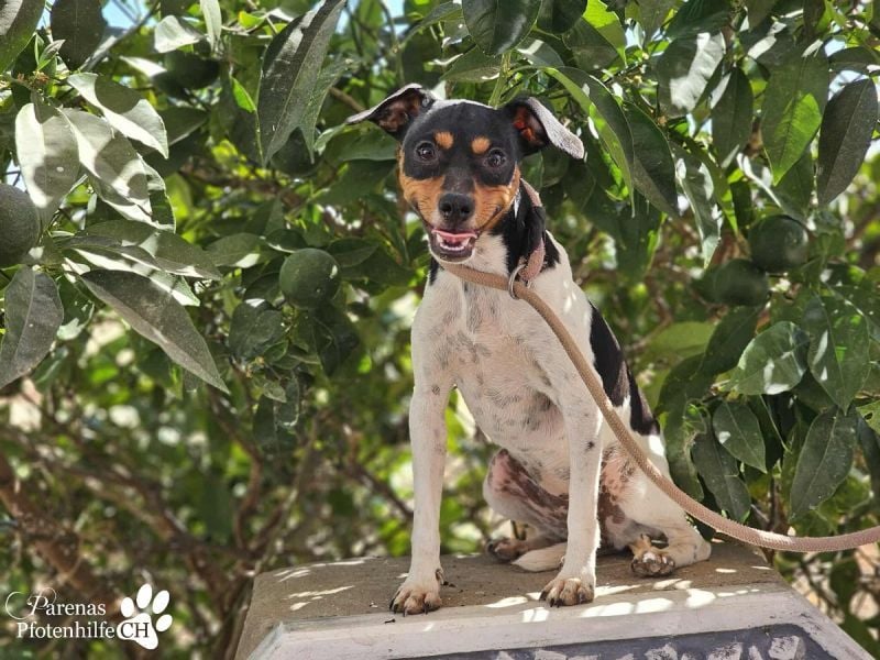 Heidi steckt voller Lebensfreude und Neugier