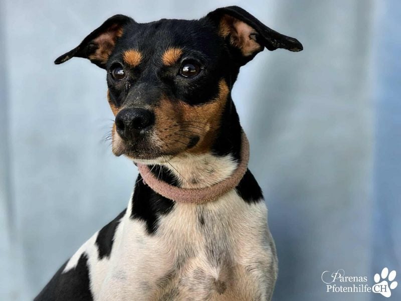 Heidi steckt voller Lebensfreude und Neugier