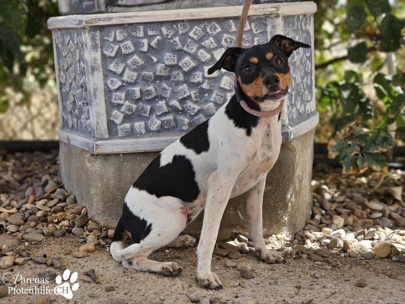 Heidi steckt voller Lebensfreude und Neugier