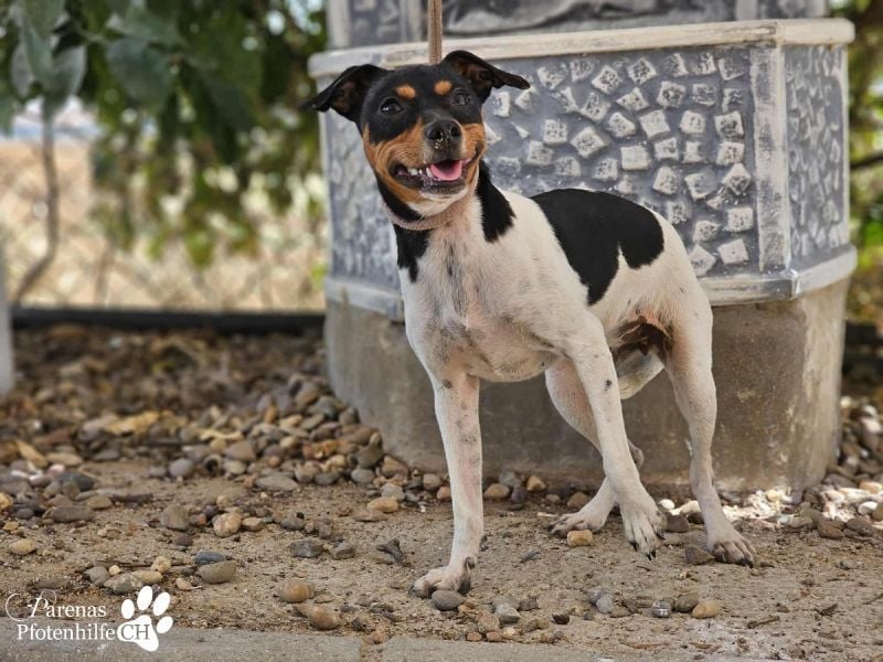 Heidi steckt voller Lebensfreude und Neugier