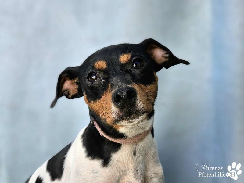 Heidi steckt voller Lebensfreude und Neugier