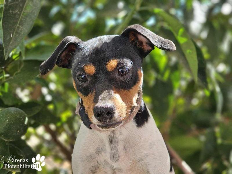 Heidi steckt voller Lebensfreude und Neugier