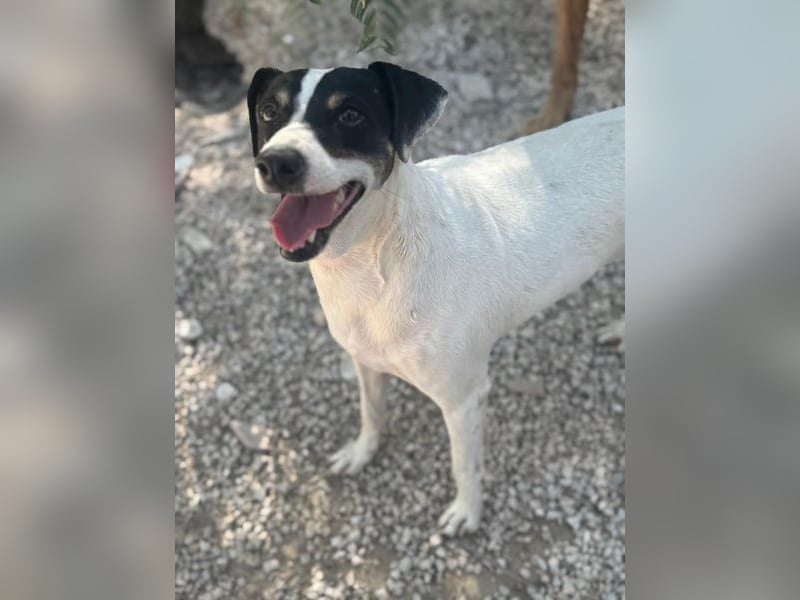 Pepa, menschenbezogen und sozial