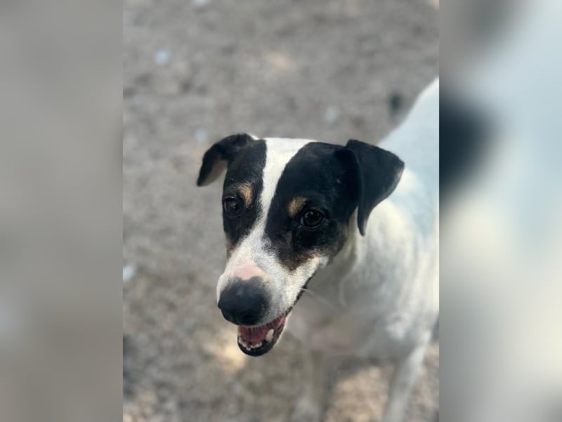 Pepa, menschenbezogen und sozial