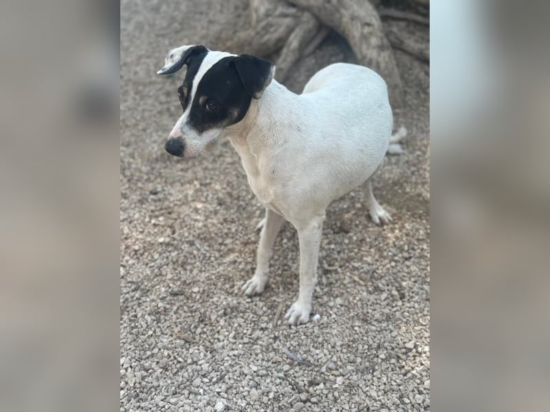 Pepa, menschenbezogen und sozial