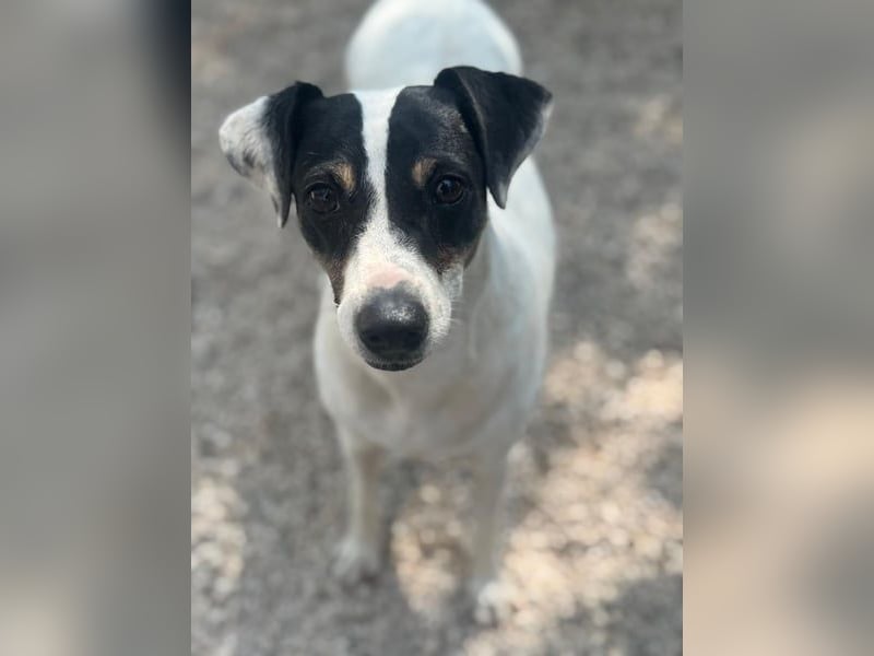 Pepa, menschenbezogen und sozial