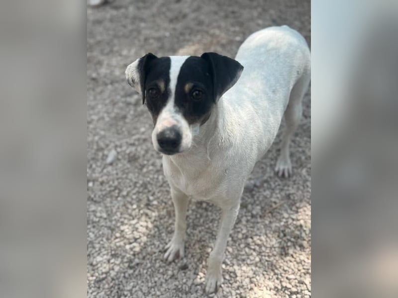 Pepa, menschenbezogen und sozial