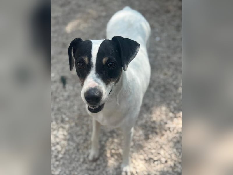 Pepa, menschenbezogen und sozial