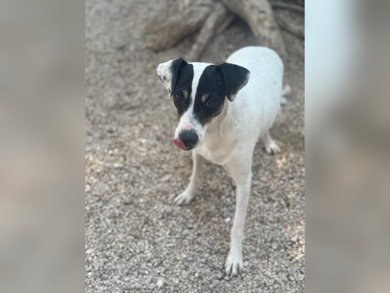 Pepa, menschenbezogen und sozial