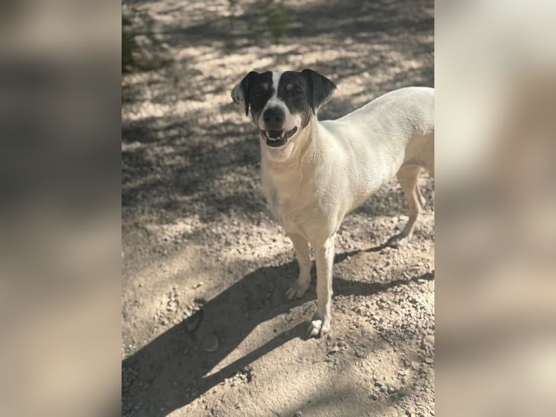 Pepa, menschenbezogen und sozial