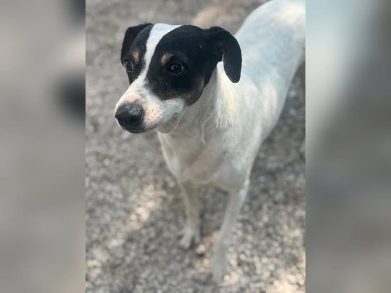 Pepa, menschenbezogen und sozial