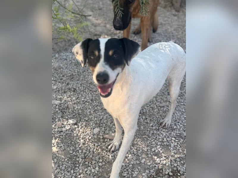 Pepa, menschenbezogen und sozial