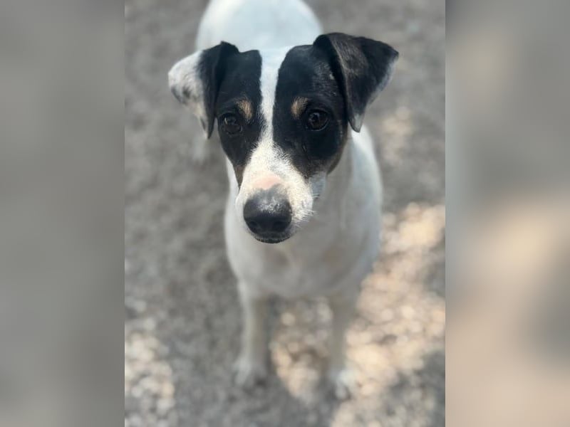 Pepa, menschenbezogen und sozial