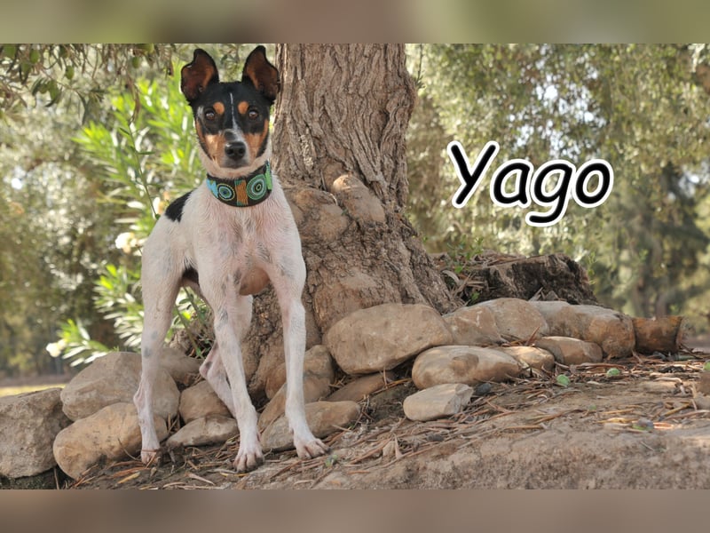 Geben Sie Yago die zweite Chance, die er so sehr verdient?