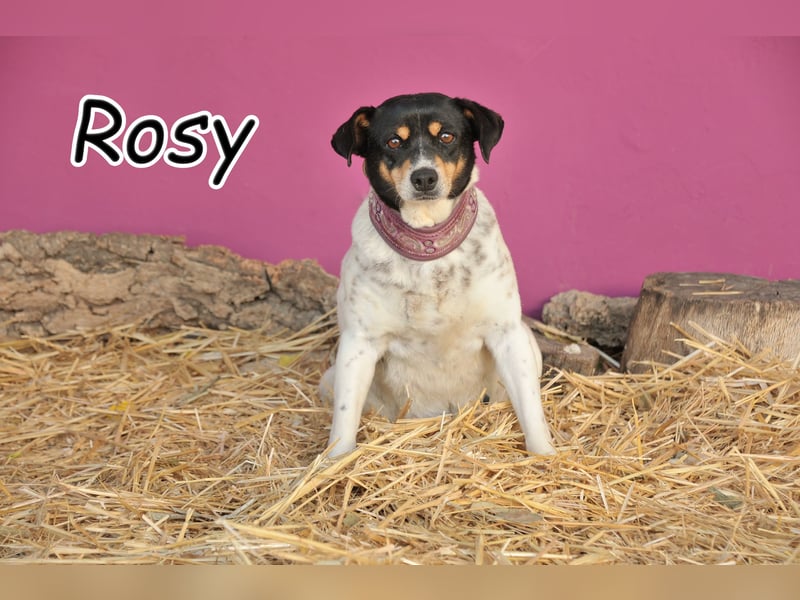Schenken Sie Oma Rosy einen zweiten Frühling?