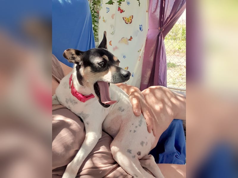 Alli – sucht ihr Happyend