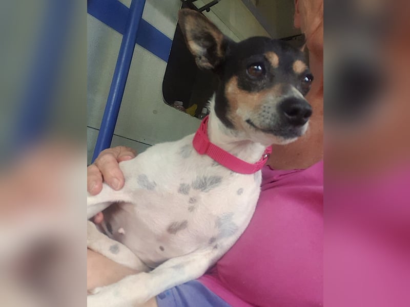Alli – sucht ihr Happyend