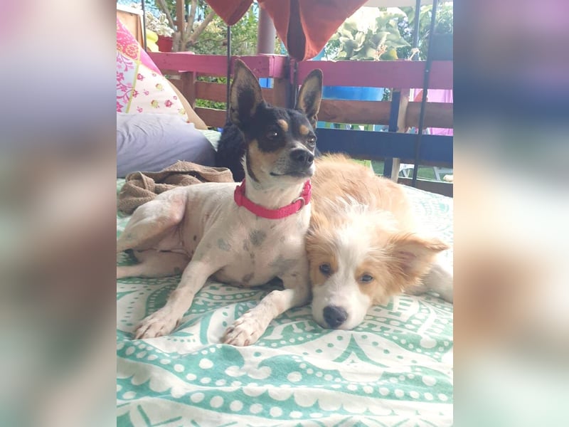Alli – sucht ihr Happyend