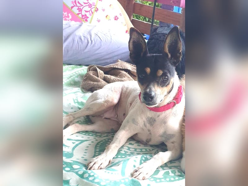 Alli – sucht ihr Happyend
