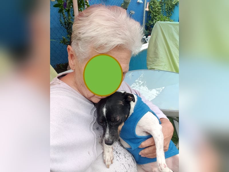 MOLE - kleiner Hund, große Liebe