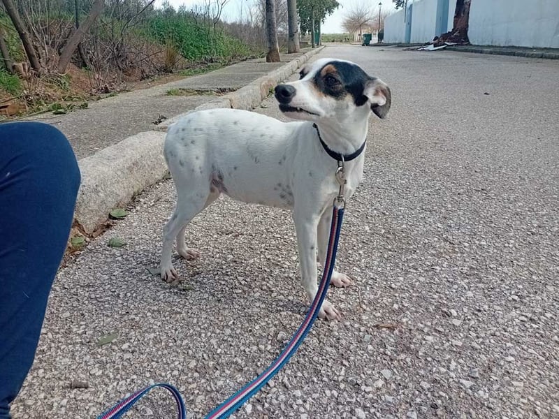 Fröhliche INGRID-wartet in 79106 Freiburg sehnsüchtig auf ihre Für-immer-Familie