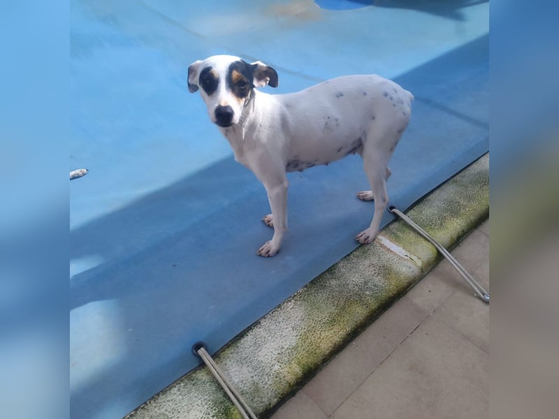 Fröhliche INGRID-wartet in 79106 Freiburg sehnsüchtig auf ihre Für-immer-Familie