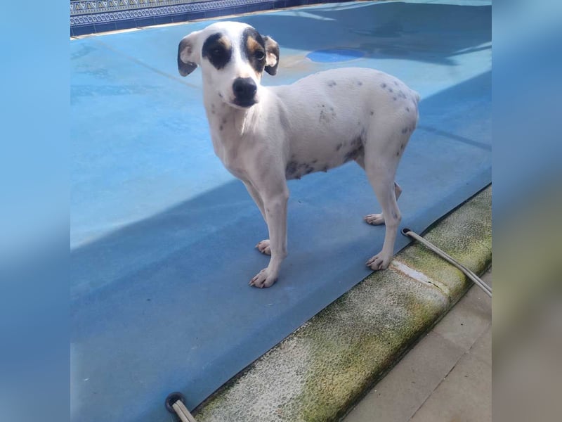 Fröhliche INGRID-wartet in 79106 Freiburg sehnsüchtig auf ihre Für-immer-Familie