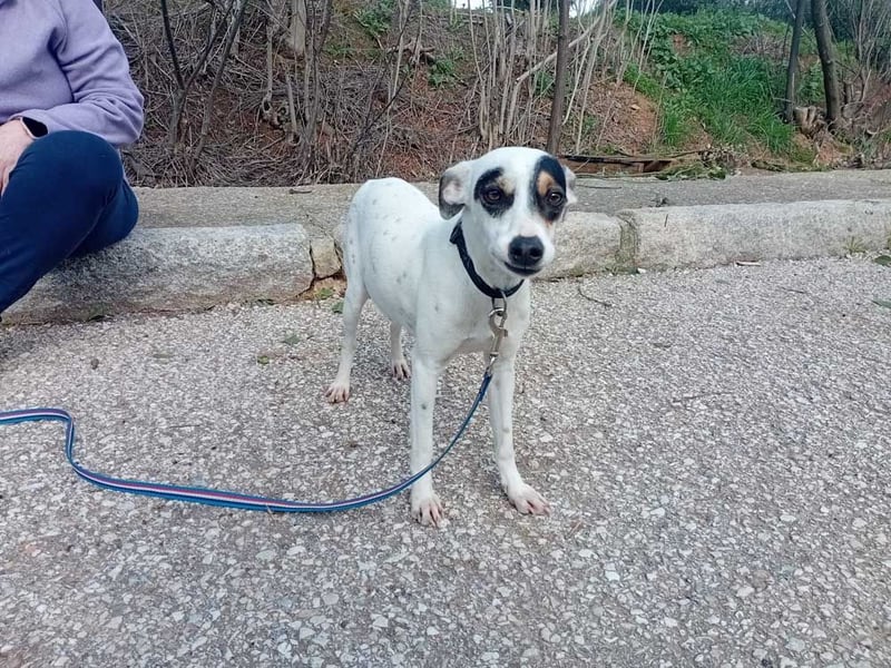 Fröhliche INGRID-wartet in 79106 Freiburg sehnsüchtig auf ihre Für-immer-Familie