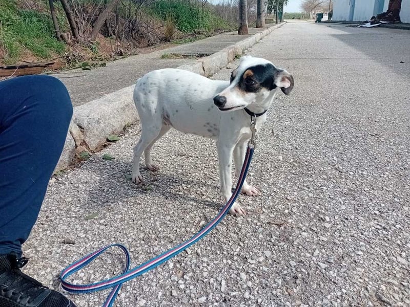Fröhliche INGRID-wartet in 79106 Freiburg sehnsüchtig auf ihre Für-immer-Familie
