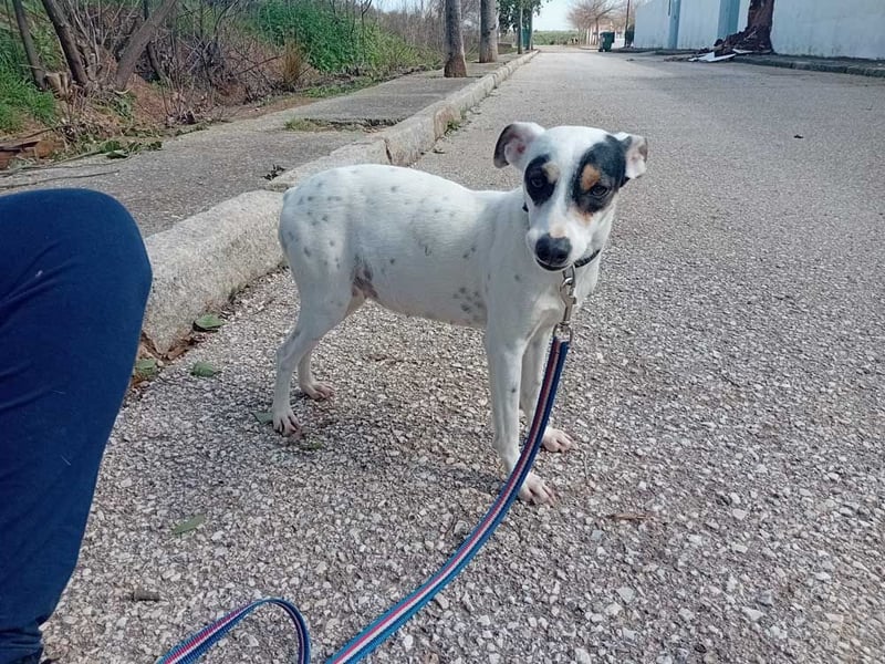 Fröhliche INGRID-wartet in 79106 Freiburg sehnsüchtig auf ihre Für-immer-Familie