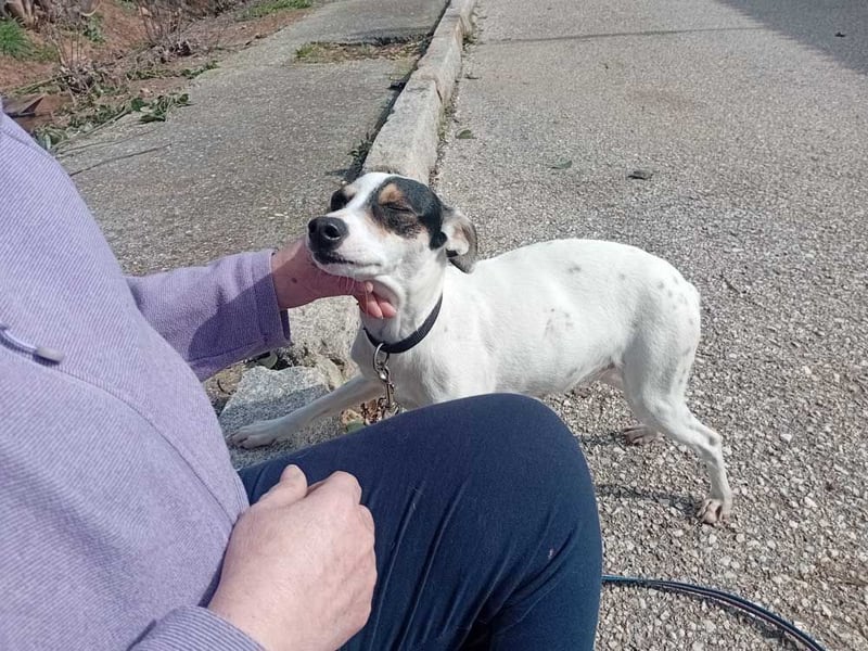 Fröhliche INGRID-wartet in 79106 Freiburg sehnsüchtig auf ihre Für-immer-Familie