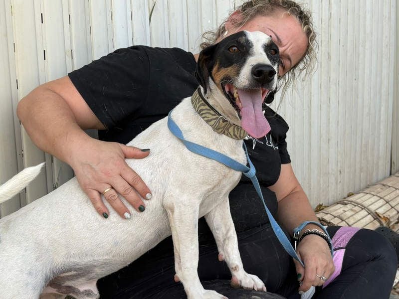 MONET-ein Herz auf 4 Pfoten mit außergewöhnlicher Loyalität sucht liebevolle Heimat