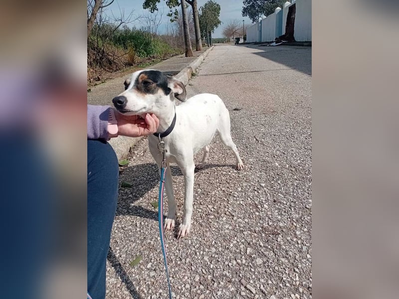 Fröhliche INGRID-wartet in 79106 Freiburg sehnsüchtig auf ihre Für-immer-Familie