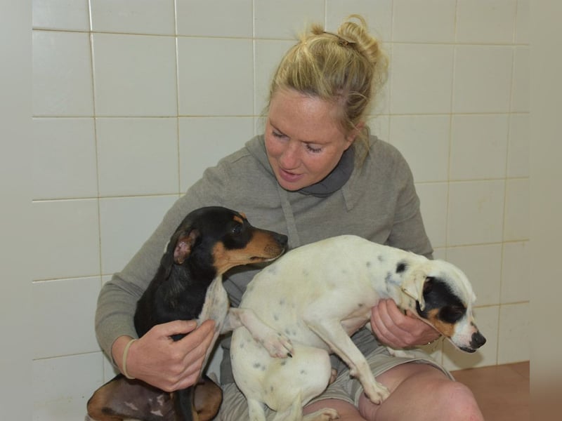 Zuckersüße LENI-lieb, sanft, bescheiden, ruhig wartet sie sehnsüchtig auf ihr liebevolles Zuhause