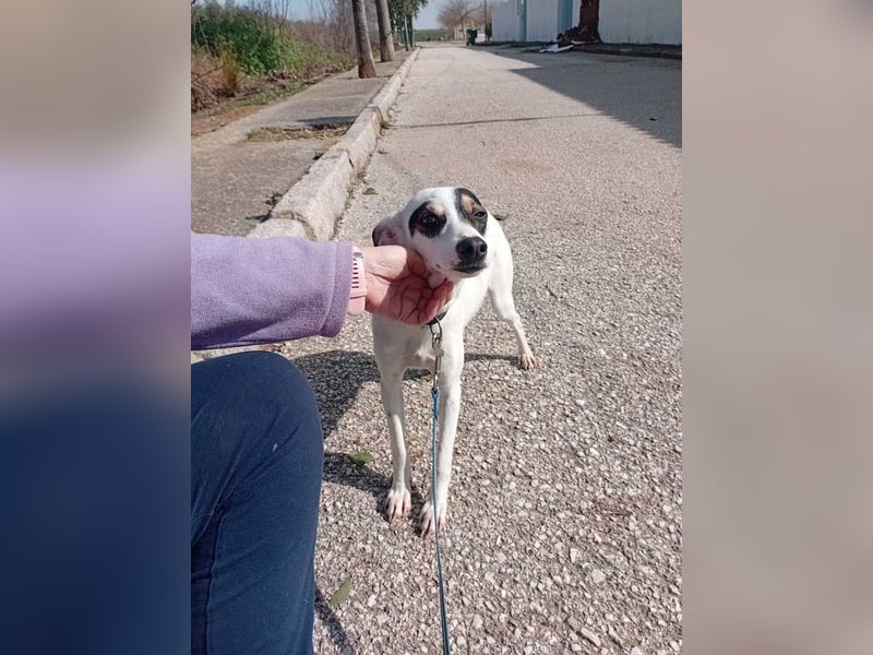 Fröhliche INGRID-wartet in 79106 Freiburg sehnsüchtig auf ihre Für-immer-Familie