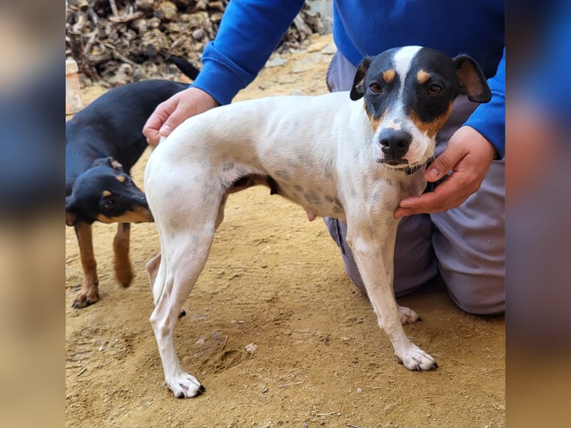 Maite - freundlich und liebenswert